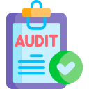 customized auditing