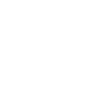 Mobility Icon